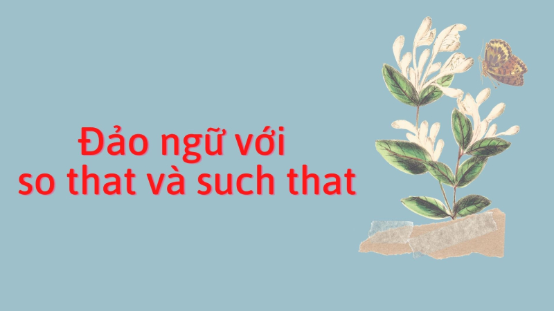Cấu trúc câu đảo ngữ với so that và such that